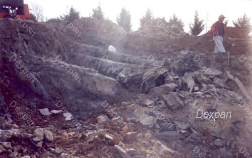 Dexpan Construction Site Preparation, Rocky Land Clearing