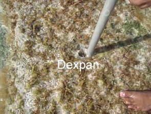 Dexpan Underwater Demolition